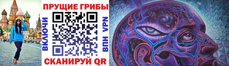 МЕГА вход  закладки  Касли  Галлюциногенные грибы Psilocybe 